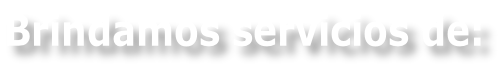 Brindamos servicios de: